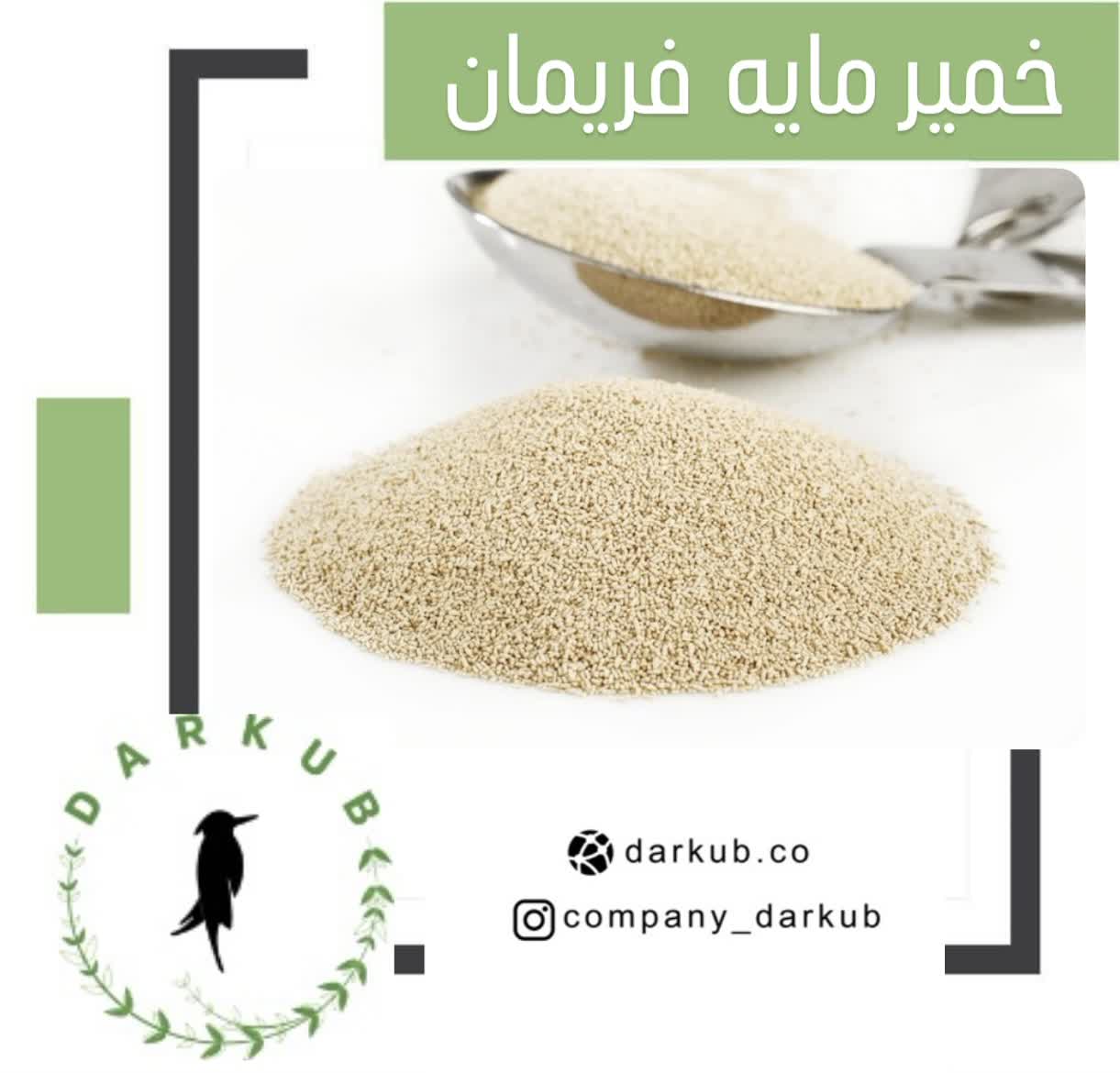خمیرمایه