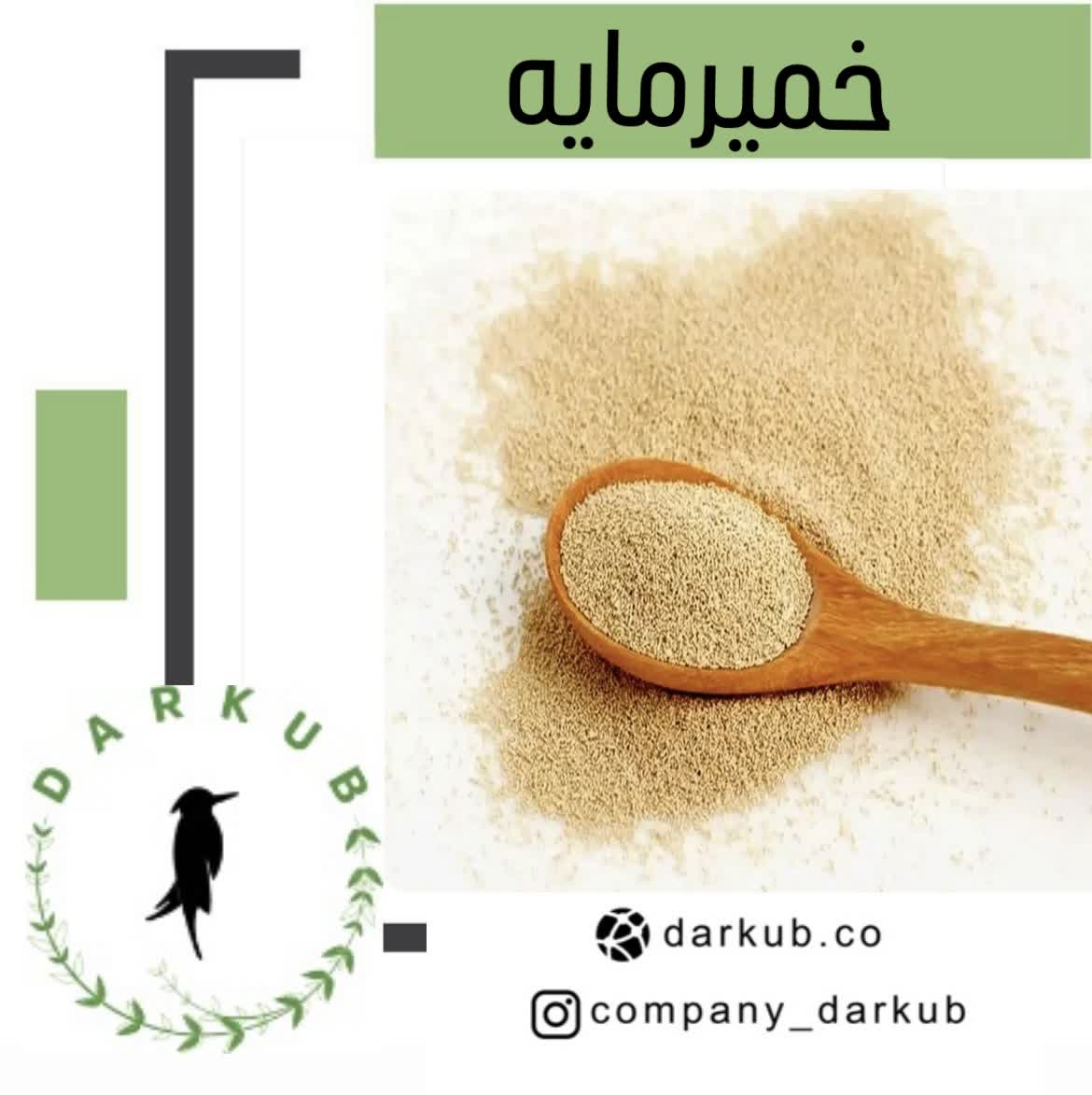 خمیرمایه