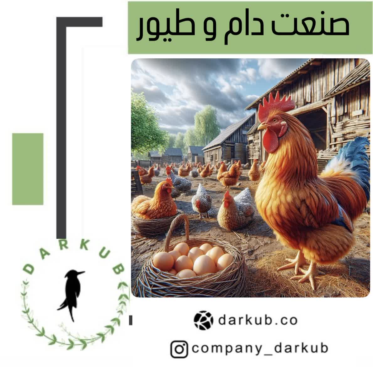 دام وطیور