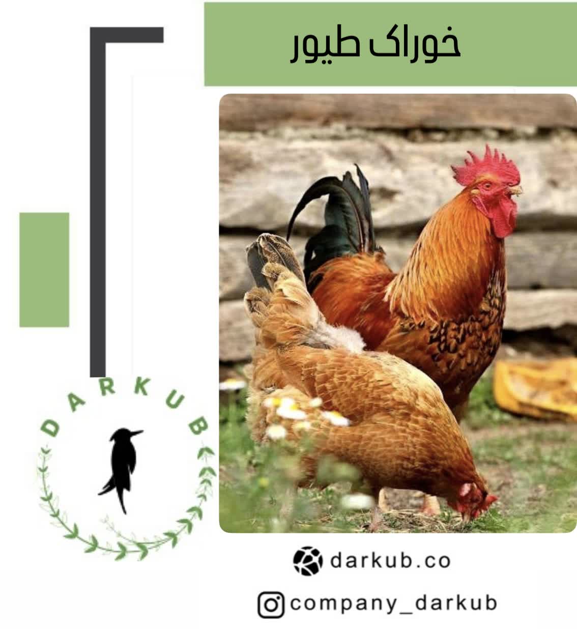 طیور