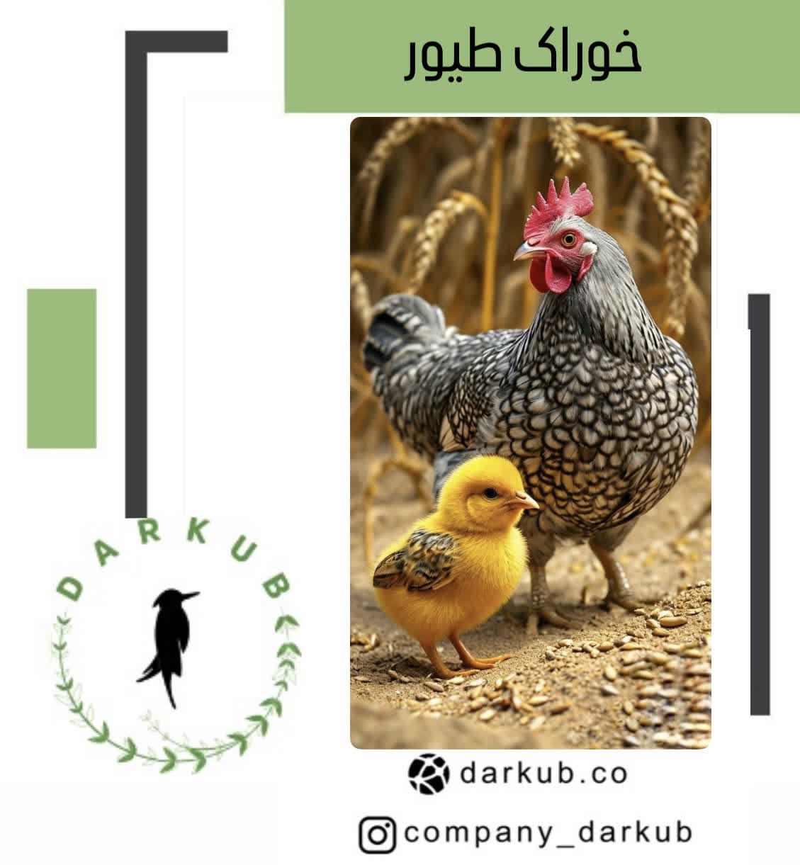 طیور